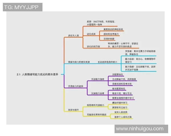 于德豪的成功之路：从平凡到卓越的奋斗历程与启示