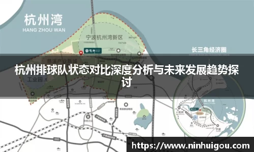 杭州排球队状态对比深度分析与未来发展趋势探讨